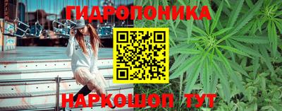 наркотики Свободный