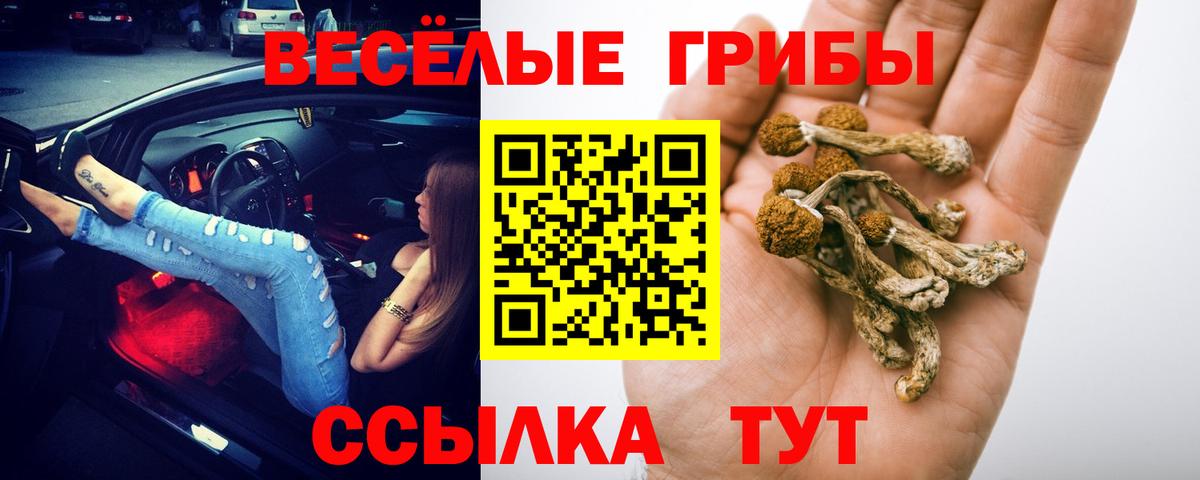 Галлюциногенные грибы Magic Shrooms Чайковский